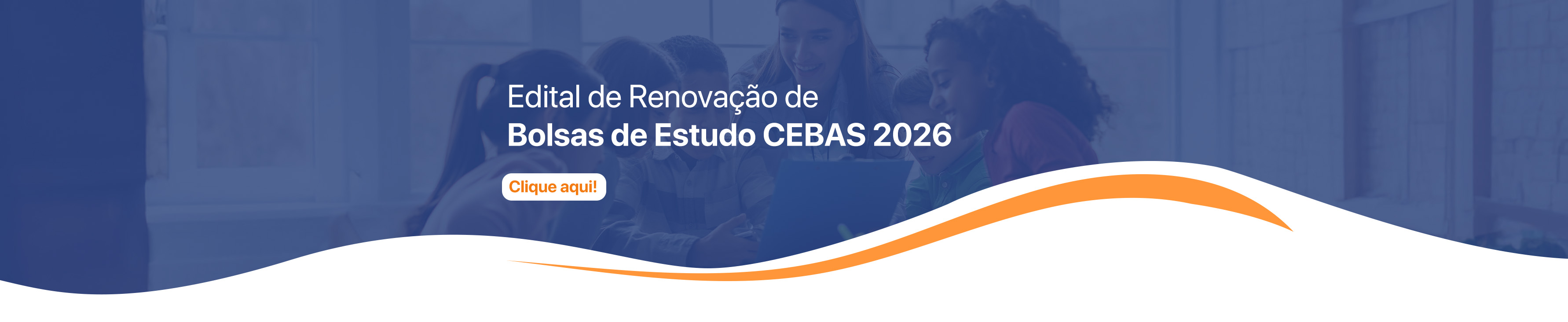 Renovação de Bolsas