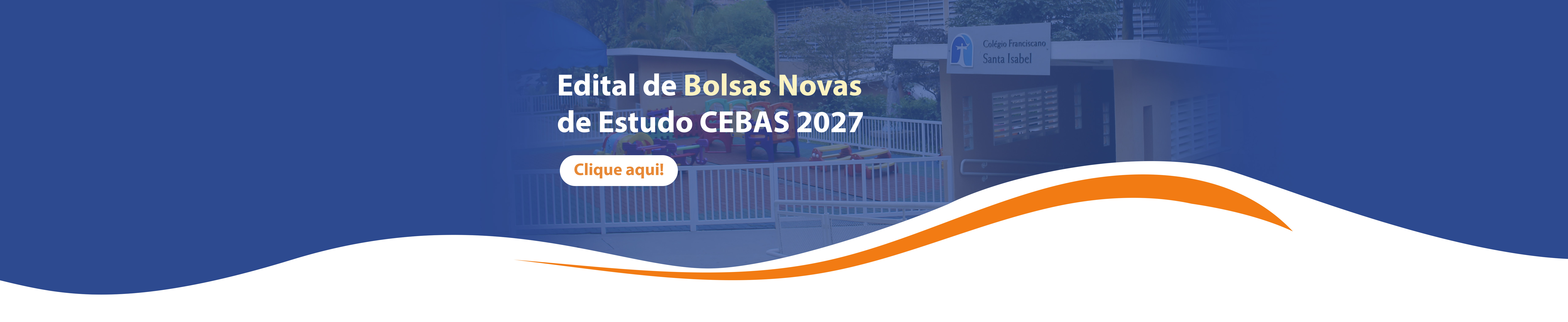 Renovação de Bolsas