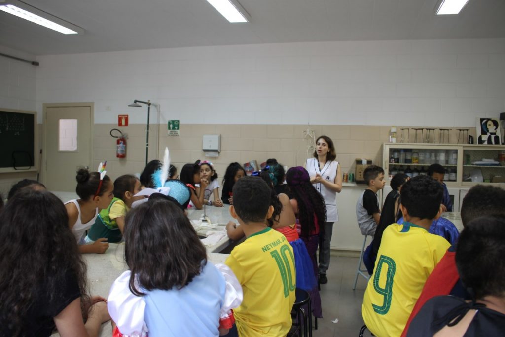 Estudando sobre decompositores: Fungos e bactérias.