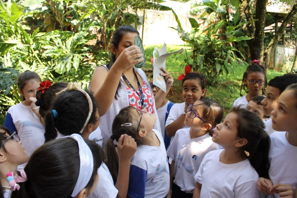 Fossilização em gesso - 3º Ano